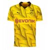 prodajo Moški Nogometni dresi Borussia Dortmund Tretji 2023-2024 Mats Hummels 15